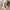 WW | Zeitlose Damen-Pumps - 2024 Fashion