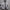 WW - Herren-Winterjacke - Warme, schlanke Daunenjacke mit Kapuze