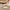 WW | Push Me Back Slingback Schuhe