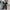 WW - Reverskragen mit Taschen Lederjacke