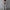 WW | Stilvolle High-Waist-Hose mit Falten