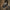 WW | Schuhe Aus Wildleder