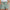 Leinen-Shorts | 1+1 Gratis