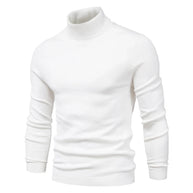 WW | Herren Rollkragenpullover aus hochwertigem Material