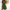 WW | Mini Sommerkleid Mit Leopardenmuster