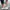 WW | Women's Compensated Platform Sneakers