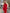 WW | Figurbetontes Minikleid Mit Langen Ärmeln
