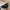 W&W - Leder-Brusttasche