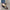 WW | Gotta Stop Pretending flache Schuhe