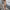 WW - Kleid mit V-Ausschnitt und Schlitz