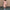 WW | Stilvolles Pulloverkleid Mit Bequemer Passform