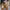 WW | Trendige Turnschuhe