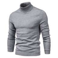 WW | Herren Rollkragenpullover aus hochwertigem Material