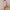WW - Elegantes Bodycon-Kleid mit Rüschen