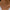 WW | Perlen Choker Herz Halskette Für Frauen