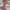 WW | Damen Geometrischer Druck Partykleid