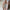 WW | Steh einfach da und starre Minikleid