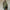 WW | Oversized Sweatshirt Mit Rollkragen