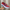 WW | Orthopädische Damenschuhe mit maximaler Fußunterstützung