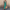 Kleid – Modern und vielseitig für jede Gelegenheit