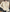 WW | Beatrice Damen Cardigan – Eleganter Stil Für Jede Gelegenheit