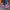WW | Blockabsatz-Stiefel - Stilvolle, bequeme Passform
