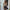 WW | Drapierte Ein-Schulter-Bluse