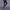 WW | Elegante Herrenhose Mit Stretch