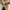 WW | Stilvoller Lässig Trenchcoat Für Herren