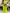 WW | grünes Cut-Out Maxikleid
