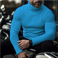 WW | Stylischer Rollkragenpullover für Herren