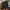 Bequeme Sommer-Shorts