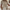 Damen Kurzarmstrickjacke W&W