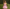 WW | Ärmelloses Minikleid mit Schleifendetail