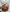 WW | Gewebte Tasche
