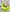 WW | Gewebte Tasche