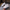 WW-Baby-Coconut-Turnschuhe: Atmungsaktive Netzschuhe