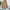 WW | Front Page News Corduroy Blazer