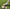 WW | Wildleder Schlupfclogs Mit Verstellbarer Schnalle