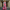 WW | Elegantes Kleid mit Blumenmuster