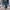 WW | Elegante Damen Satz