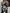 WW | Bluse Damen Stilvoll Und Bedruckt