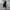WW | Moderne vegane Lederhose mit