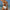 WW | Chaotischer Sonne Monokini