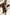 WW | Weiches und Elastisches Loungewear-Set
