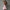 WW | Elegantes Trägerloses Partykleid Für Frauen
