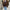 Elegante Wildlederjacke