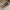 WW | Zeitlose Damen-Pumps - 2024 Fashion