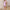 WW - Elegantes Bodycon-Kleid mit Rüschen