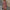 WW | Stilvolles Sommerkleid